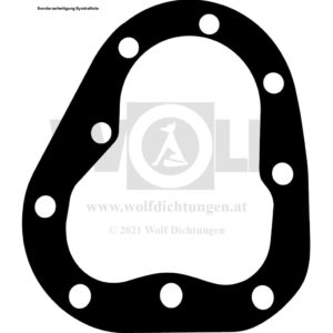 Zylinderkopfdichtung für Indian | Chief