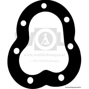 Zylinderkopfdichtung für Indian | Scout