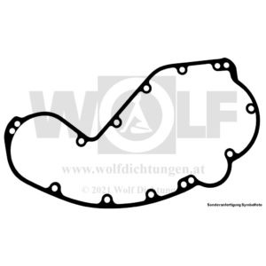 Steuerdeckeldichtung für Indian | 600