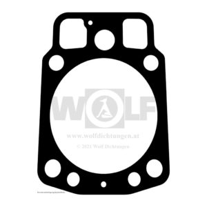 Zylinderkopfdichtung für Jenbacher | JW C 160