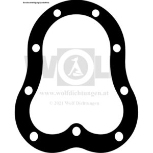 Zylinderkopfdichtung für Jap | 1100