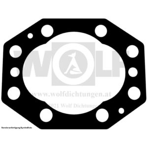 Ölpumpendichtung für Jaguar | D-Type