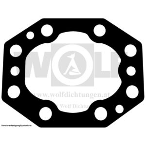 Ölpumpendichtung für Jaguar | D-Type