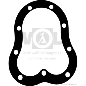 Zylinderkopfdichtung für Jap | 500 | SV