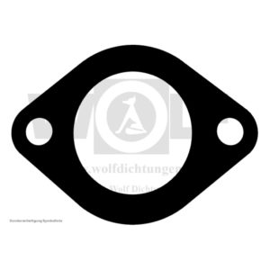 Flanschdichtung für Jaguar | SS 100