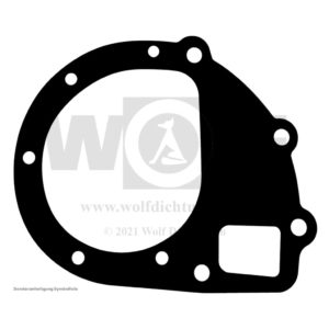 Dichtung für Jaguar | SS 100