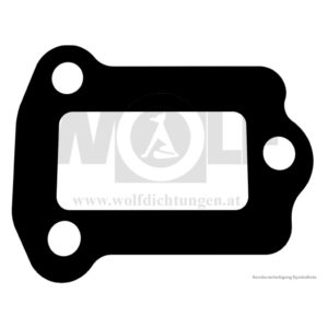 Dichtung für Jaguar | SS 100