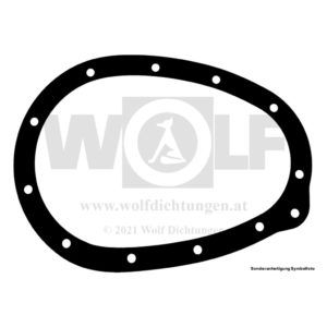 Dichtung für Jaguar | SS 100