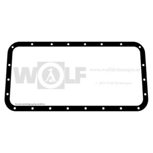 Dichtung für Jaguar | SS 100