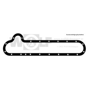 Dichtung für Jaguar | SS 100