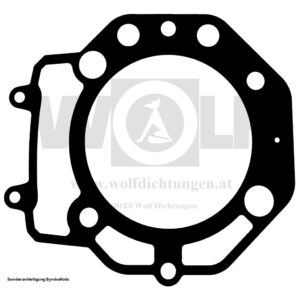 Zylinderkopfdichtung für KTM | Duke II | 640 | LC 4