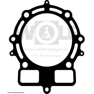 Zylinderkopfdichtung für KTM | 560