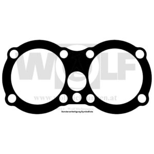 Zylinderfußdichtung für Kawasaki | W 650