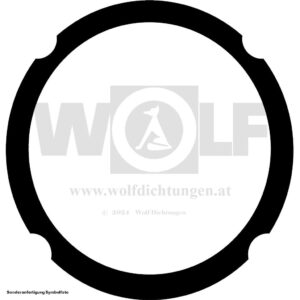 Zylinderfußdichtung für Lamborghini | C 30