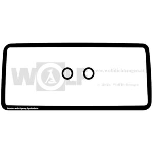 Ventildeckeldichtungen im Set für Lotus | 47 | Europa