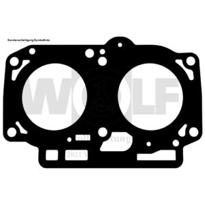 Zylinderkopfdichtung für Lancia | Flavia