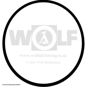 Dichtring für Lanz | Twinnie