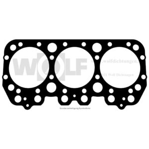 Zylinderkopfdichtung für Leylord