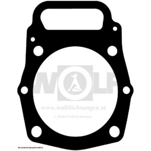 Zylinderkopfdichtung für Ligier | JS 50