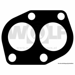 Auspuffdichtung für Lada | 1600