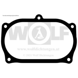 Ventildeckeldichtung seitlich für Lancia | Ypsilon | 843