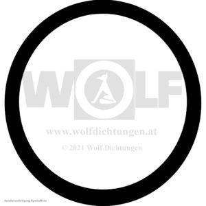 Dichtring für Lanz | Bulldog