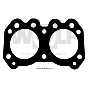 Zylinderkopfdichtung für MV Agusta | Ipotesi | 350 | F | S | R