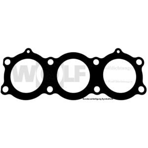 Zylinderkopfdichtung für MV Agusta |  500 - 3