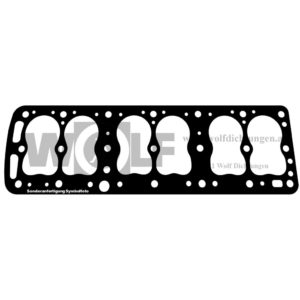 Zylinderkopfdichtung für Mercedes | W 21