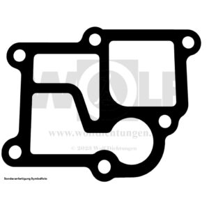 Ölfiltergehäusedichtung für Mercedes