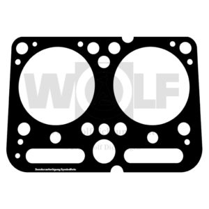 Zylinderkopfdichtung für MAN | 452