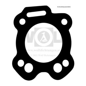 Zylinderkopfdichtung für MV Agusta | 250