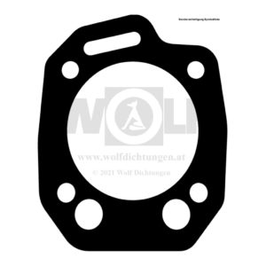 Zylinderkopfdichtung für MV Agusta | 350