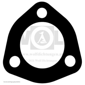 Wassesranschlussdichtung für Maybach | Zeppelin