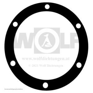 Nockenwellen-Abdichtungsdichtung hinten für Maybach | Zeppelin
