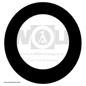 Ringdichtung für MAN | E 3000