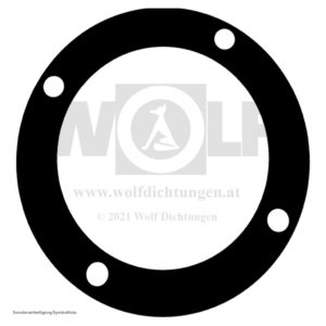 Dichtung für MAN | E 3000