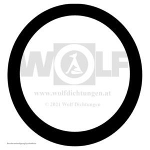 Einspritzpumpen-Ringdichtung für MAN | E 3000