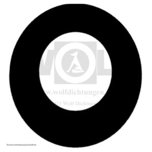 Ringdichtung für MAN | E 3000