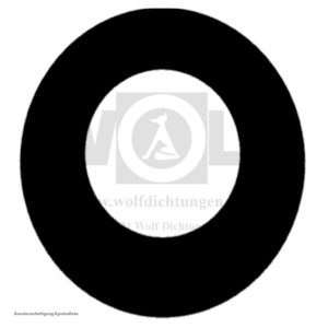 Dichtring für MAN | E 3000