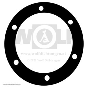 Sechsloch-Flanschdichtung für MAN | E 3000