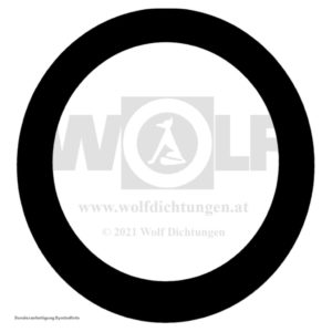 Ringdichtung für MAN | E 3000