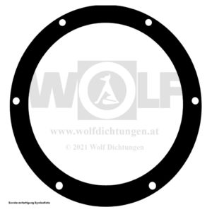 Sechsloch-Ringdichtung für MAN | E 3000