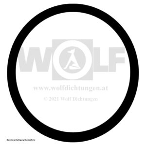 Dichtring für MAN | E 3000