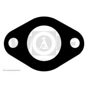 Wasserdeckel-Flanschdichtung für MAN | E 3000