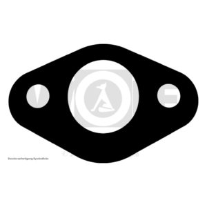 Wasserpumpen-Flanschdichtung für MAN | E 3000