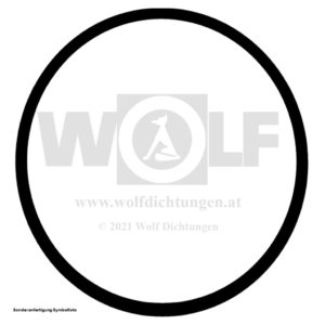 Dieselfilter-Ringdichtung für MAN | E 3000