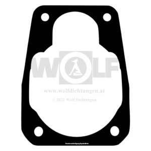 Einspritzpumpendichtung für MAN | E 3000