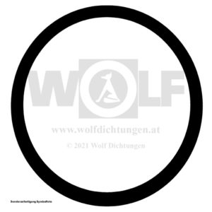 Dichtring für MAN | E 3000