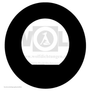 Dichtring für MAN | E 3000